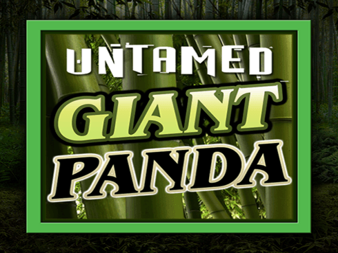 Untamed - Giant Panda game icon